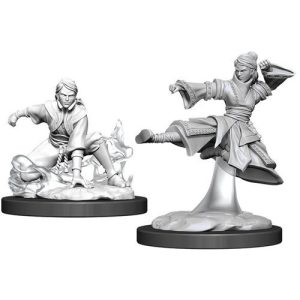 Dungeons & Dragons Nolzur's Marvelous Miniatures: Female Human Monk