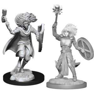 Dungeons & Dragons Nolzur's Marvelous Miniatures: Changeling Male Cleric
