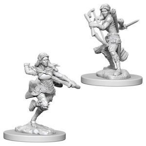 Dungeons & Dragons Nolzur's Marvelous Miniatures: Air Genasi Female Rogue