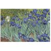 puzzle-micro-van-gogh-irises-pz048-sestavljena