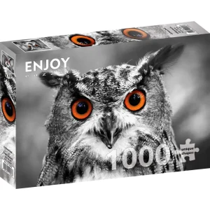 Puzzle Curious Owl (1000 kosov)